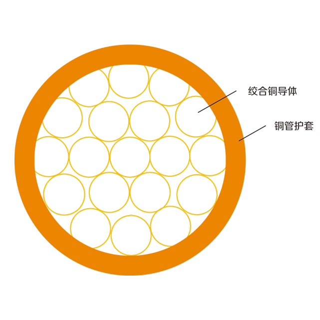 香港正牌挂牌之综合挂牌246