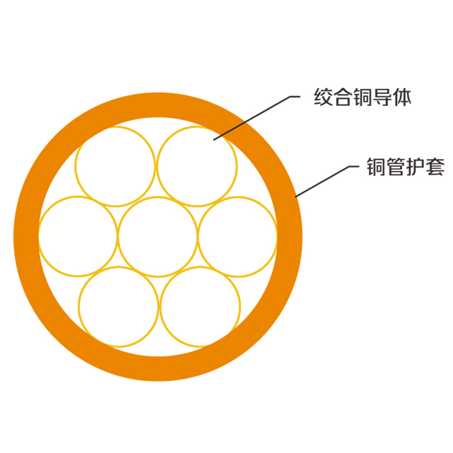 香港正牌挂牌之综合挂牌246