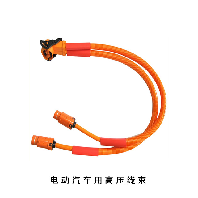 香港正牌挂牌之综合挂牌246